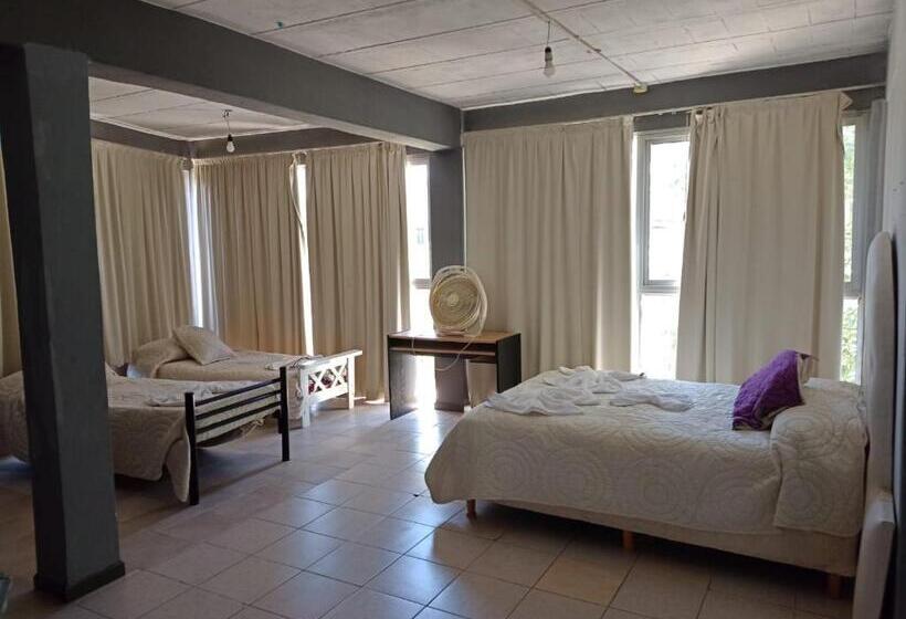 펜션 Complejo Navi