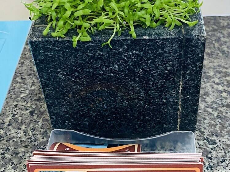 پانسیون Nha Khach Con Dao