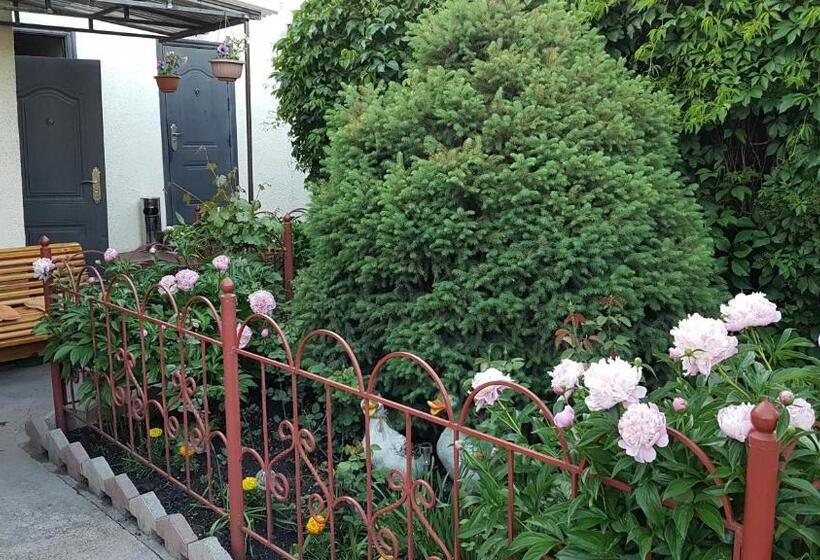پانسیون Guest House Domashniy Uyut