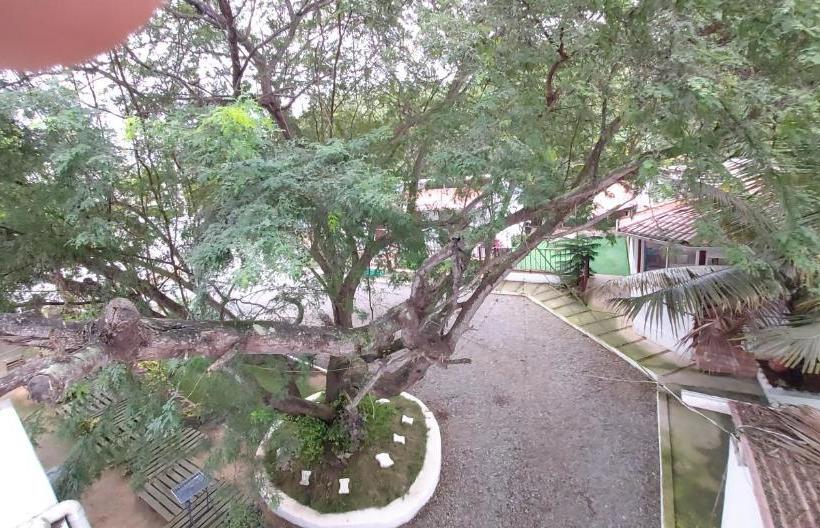 ペンション Hostal Gualingo