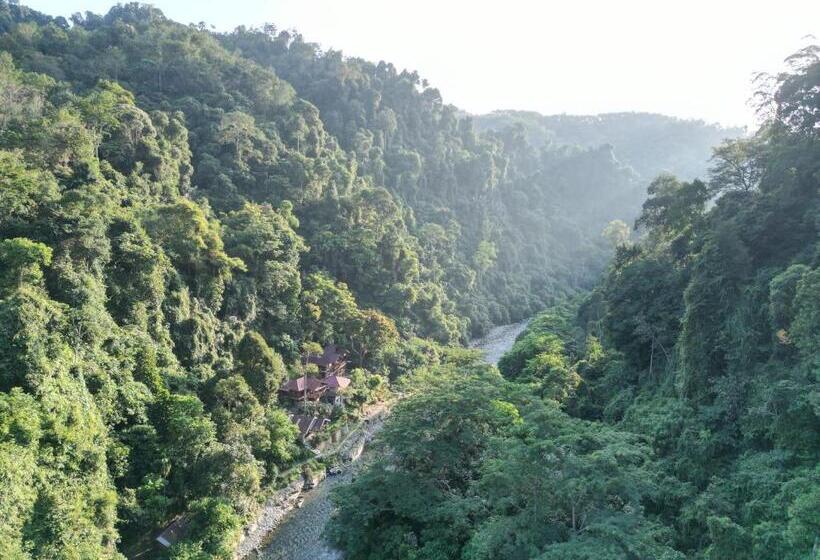 펜션 Kupu Kupu Garden Guest House & Cafe