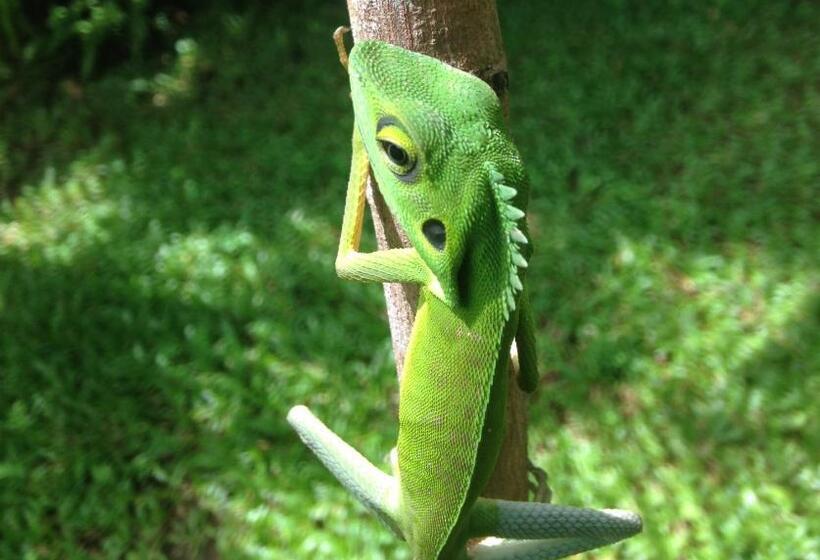 펜션 Kupu Kupu Garden Guest House & Cafe