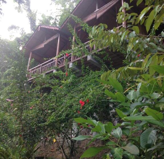 펜션 Kupu Kupu Garden Guest House & Cafe