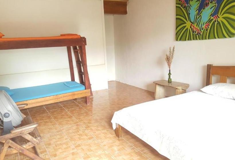 پانسیون Osa Surf House