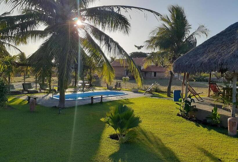 膳宿费 Pousada Theodora