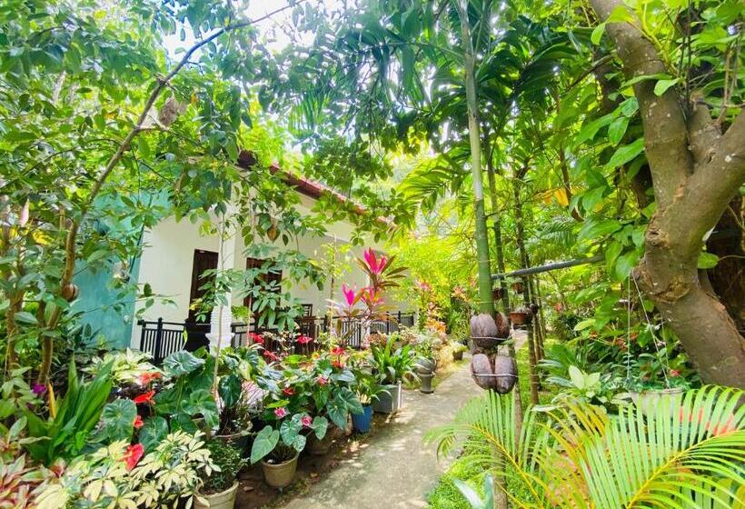 膳宿费 Priyavimana Resort