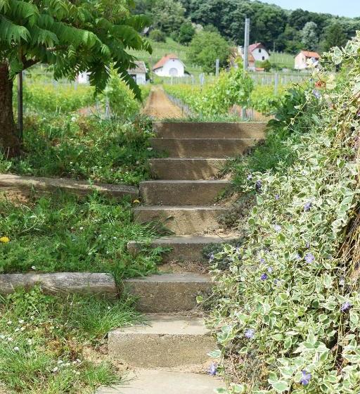 ペンション Remete Lak