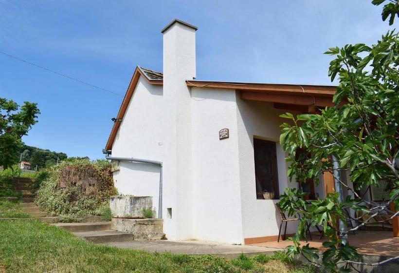 פנסיון Remete Lak