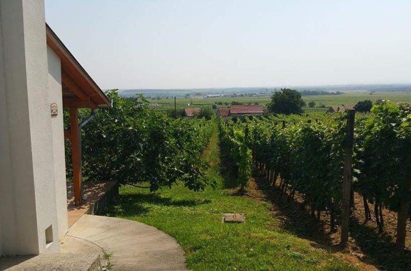 פנסיון Remete Lak