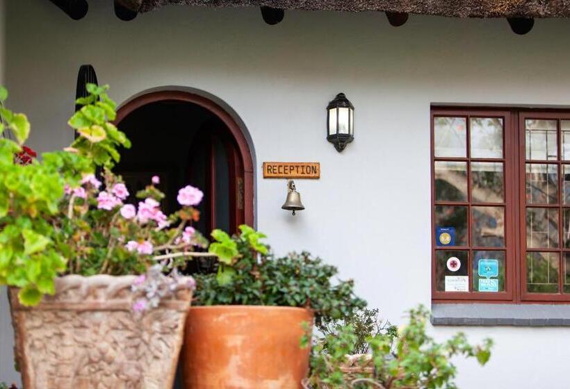 بنسيون Summerhill Guest Farm