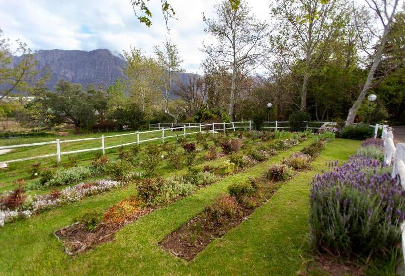 بنسيون Summerhill Guest Farm