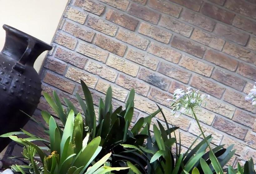 פנסיון Zamar Guest House