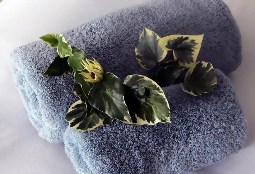 פנסיון Zamar Guest House