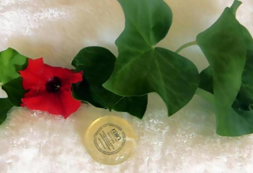 פנסיון Zamar Guest House