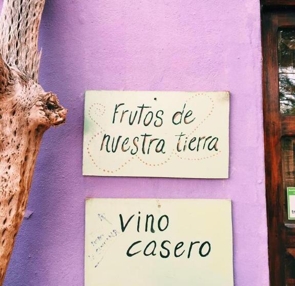 هاستل Chakana Hospedaje Rural