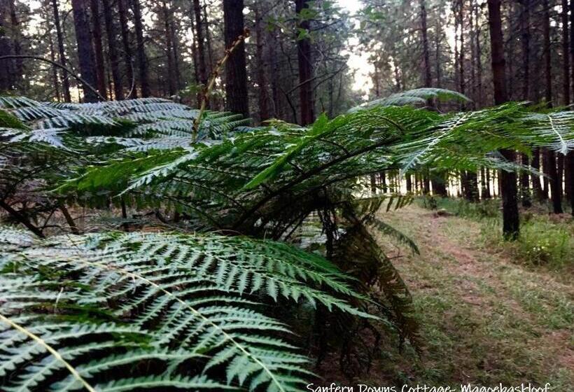 酒店 Sanfern Downs Cottage