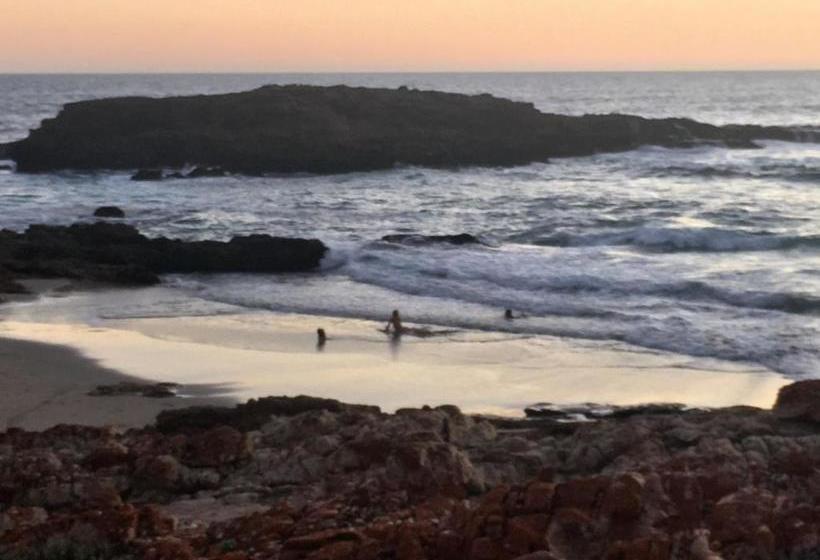 ペンション 387 Bushbuck