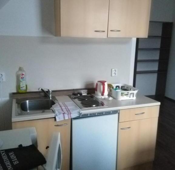 Пансион Vila Pavlínka , Apartmány Losiny