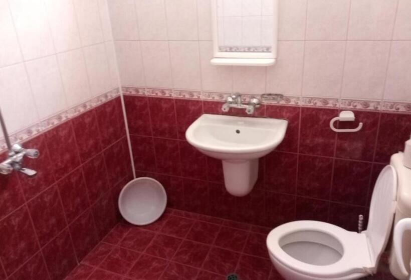 פנסיון Zlatevi Guest House