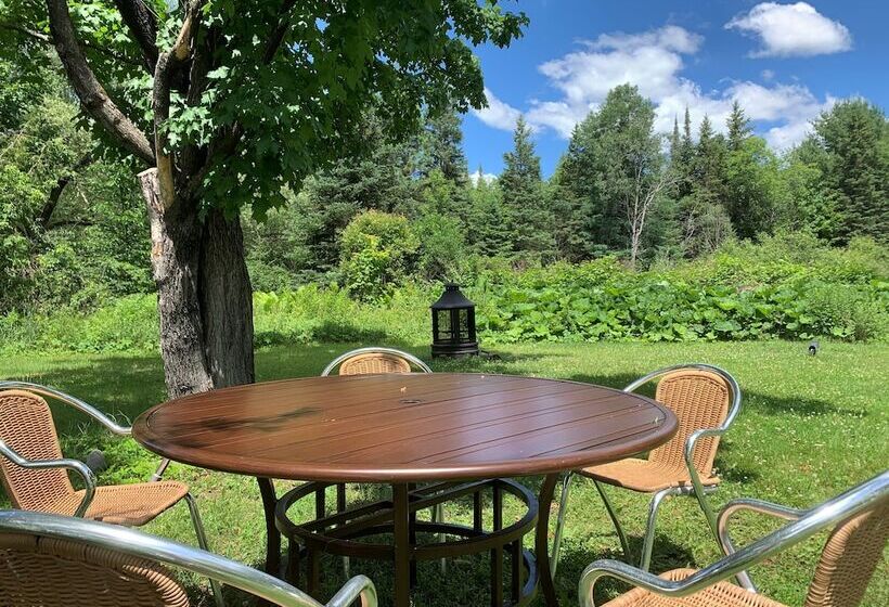 Общежитие Auberge Closjoli