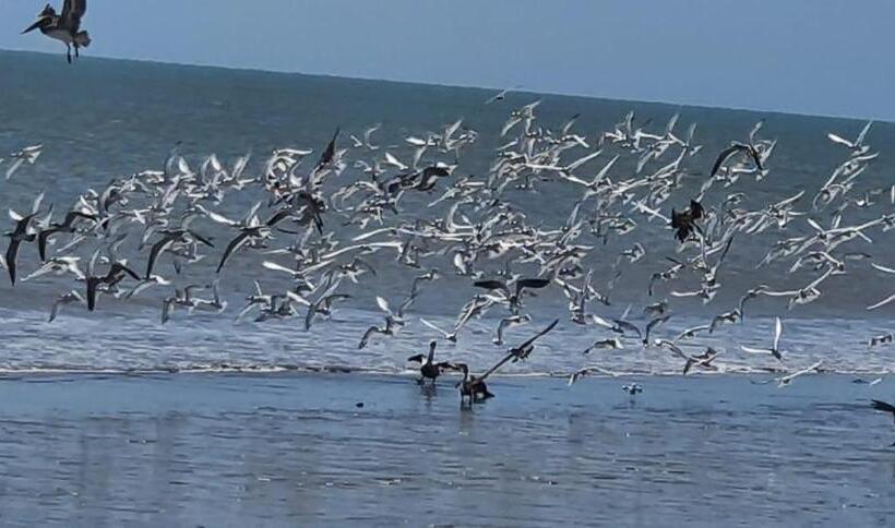 Общежитие El Arca De Pachue