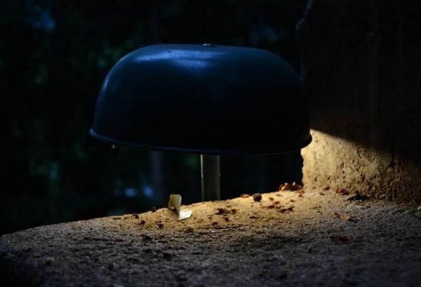 ベッドアンドブレックファースト River Edge Bungalow