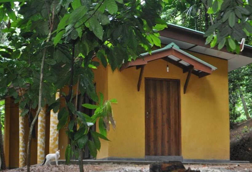 ベッドアンドブレックファースト River Edge Bungalow