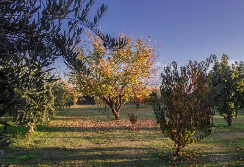 Finca Fisterra