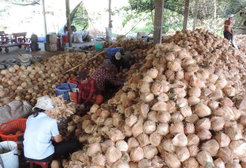 هتل Ben Tre Farm Stay