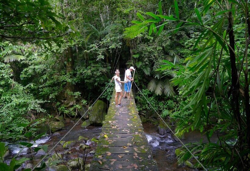 Отель Centro Ecoturístico Las Margaritas