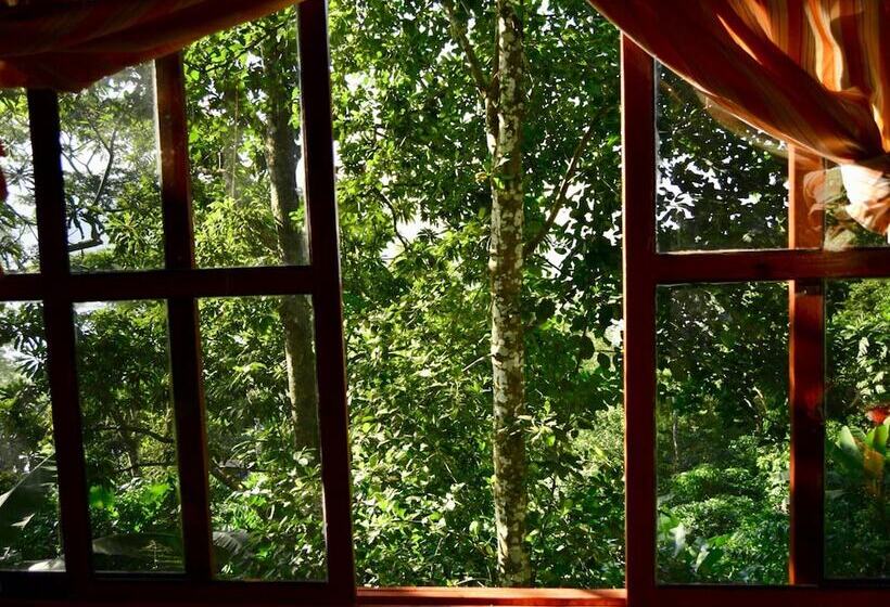 Отель Centro Ecoturístico Las Margaritas