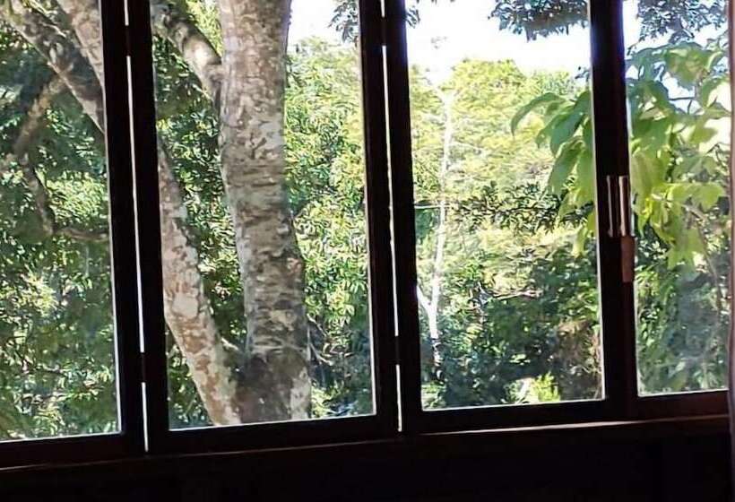 호텔 Centro Ecoturístico Las Margaritas