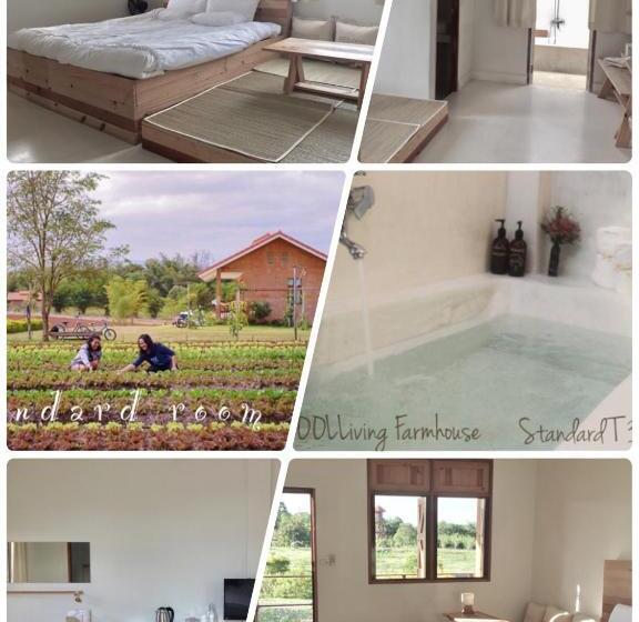 هتل Coolliving Farmhouse Organic