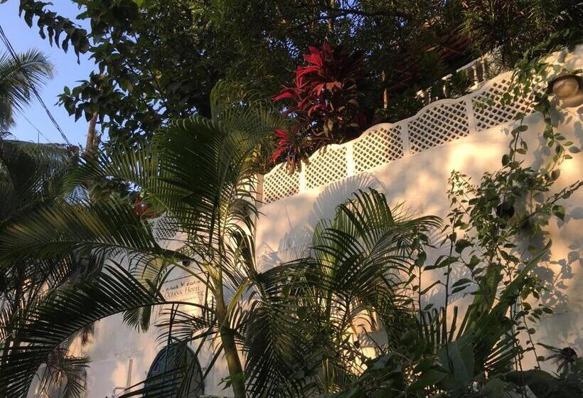 فندق Oceanic   Luxury Boutique