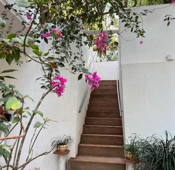 فندق Oceanic   Luxury Boutique