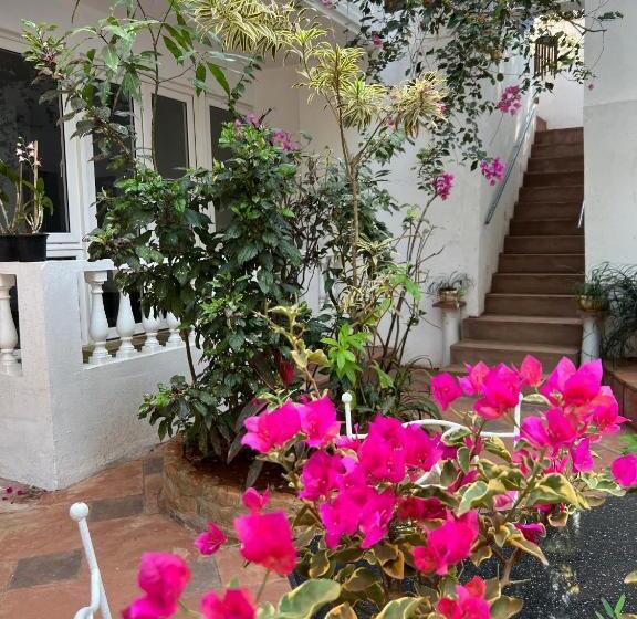 فندق Oceanic   Luxury Boutique