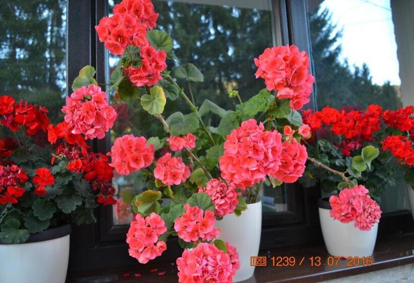 Пансион Casa Hera