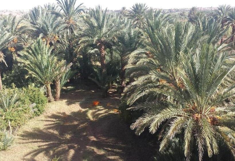 پانسیون Cinema Riad