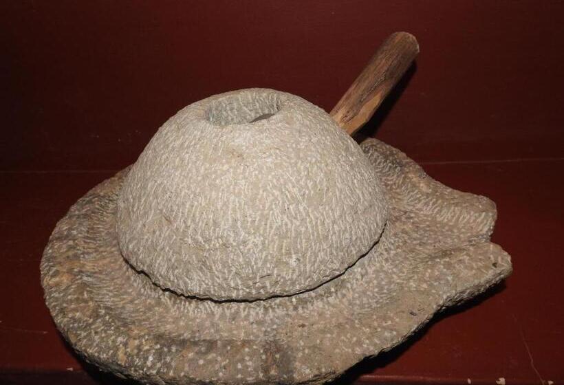 پانسیون Cinema Riad