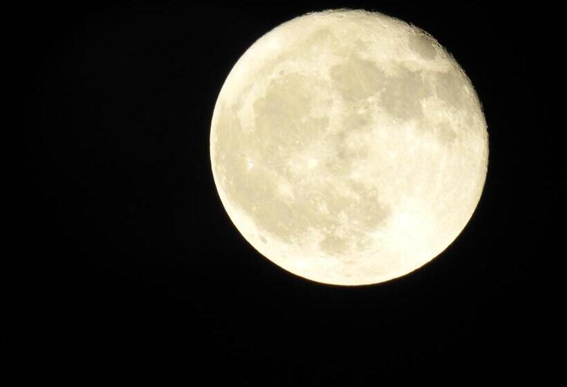 پانسیون Cinema Riad