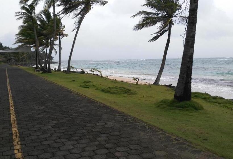 膳宿费 Corn Island Hostal Alal Suite