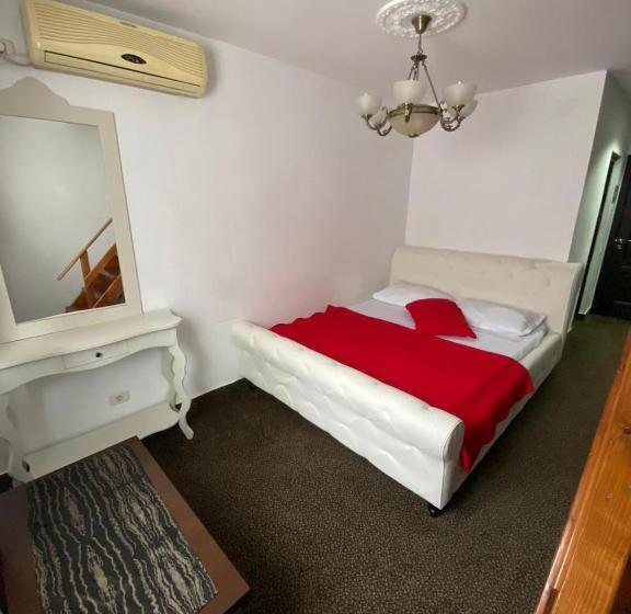 Пансион Hanu Satului