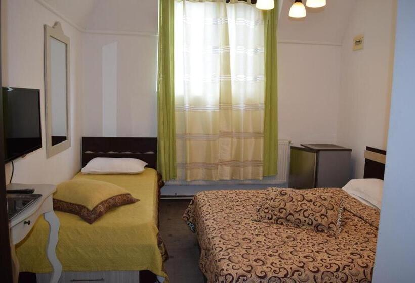 Пансион Hanu Satului