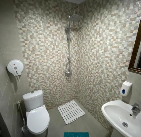 Пансион Hanu Satului