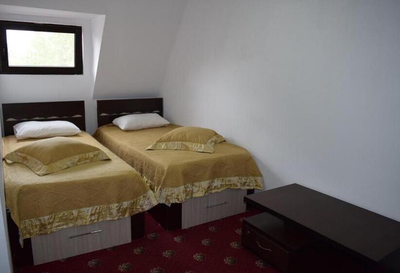 Пансион Hanu Satului