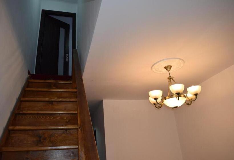 Пансион Hanu Satului