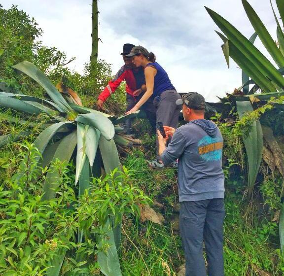 פנסיון Hospedaje Vertientes Del Imbabura