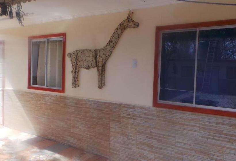 ペンション Hostal El Amigo Lucho