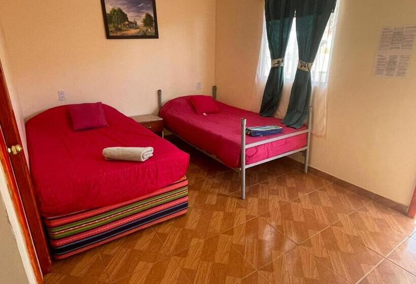 ペンション Hostal El Amigo Lucho