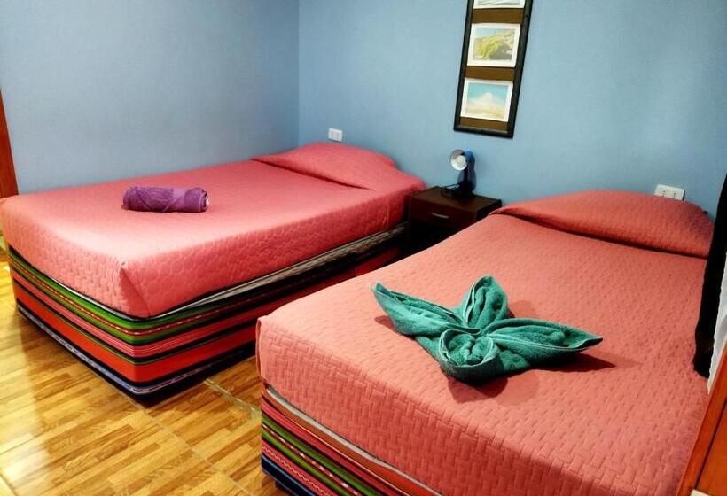 ペンション Hostal El Amigo Lucho